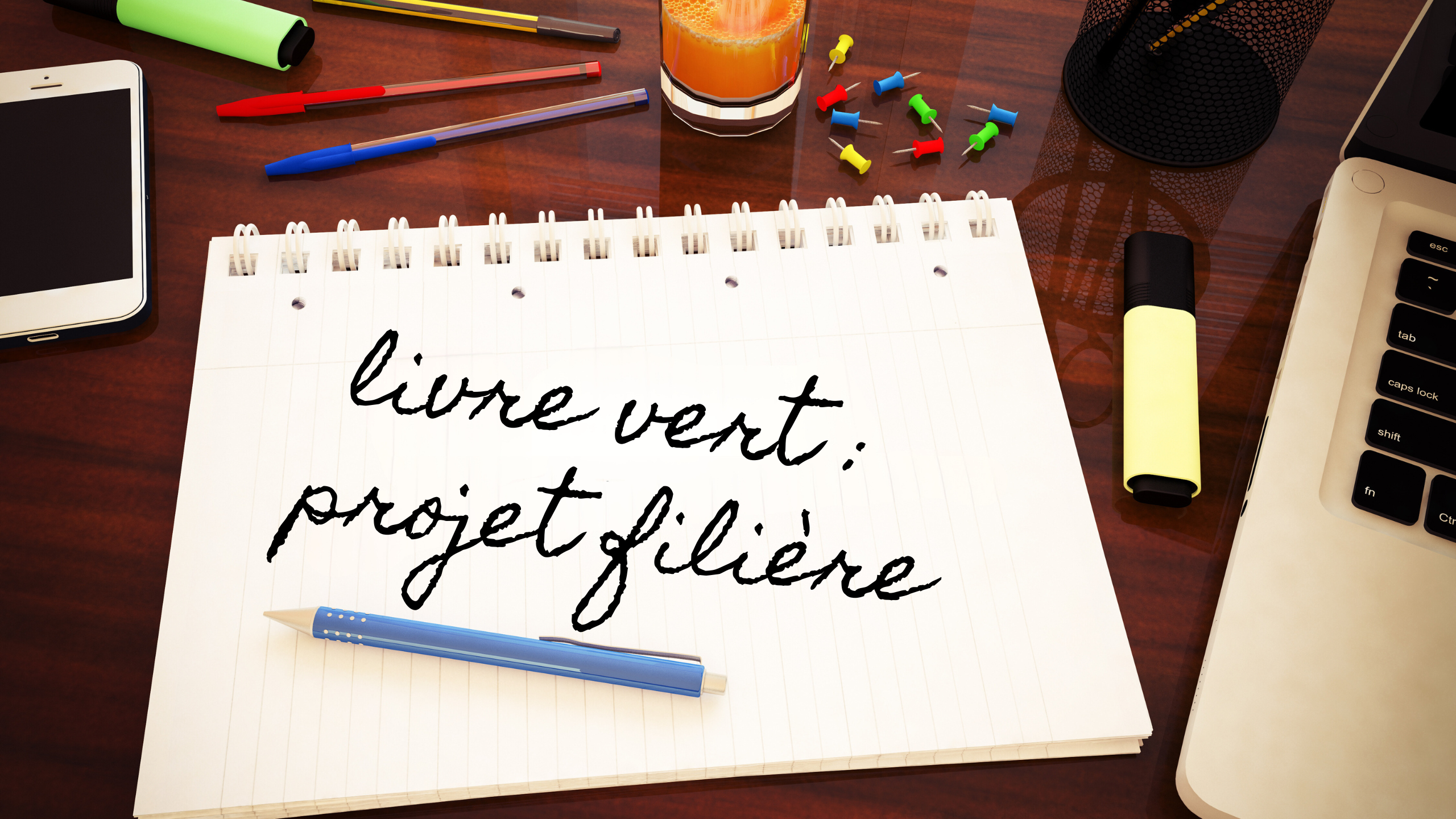 livre vert-cahier-projet filière-stylo